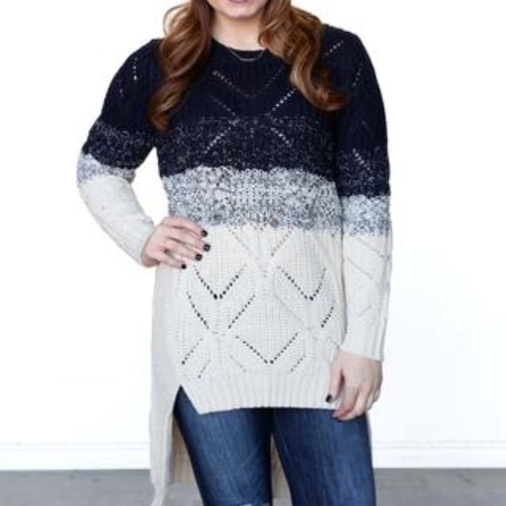 NWOT The Big Chill Sweater